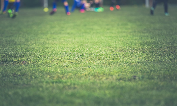 减税降费助力耀华玻璃跑出科技创新“加速度”